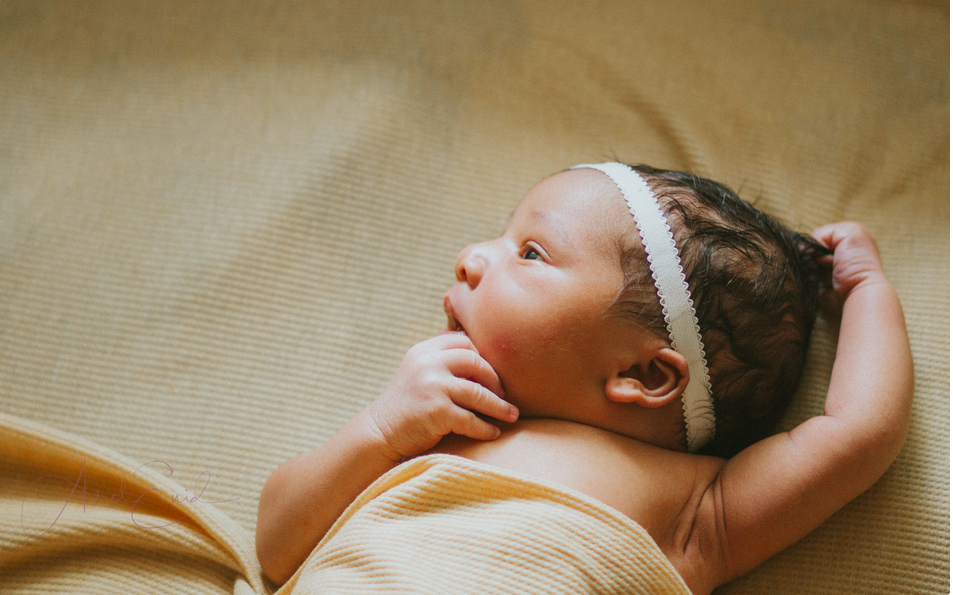 Screen Shot 2017-09-11 at 7.51.49 PM.png